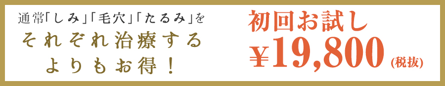 通常「しみ」「毛穴」「たるみ」をそれぞれ治療するよりもお得！　￥19,800
