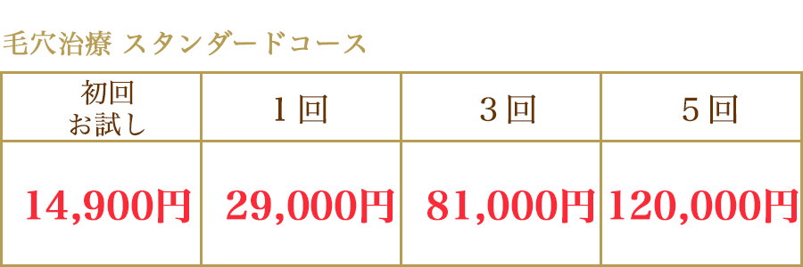 毛穴治療（鼻＋ほほ）料金