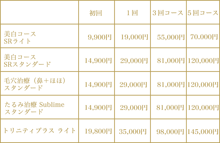 eplus 料金表